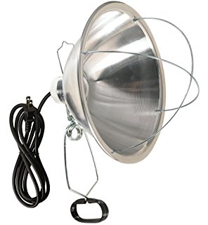 Clamp Lamp For Infrared Bulb